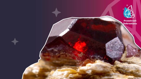 Siła docenienia – praktyka, która zmienia perspektywę [nagranie z webinarium]
